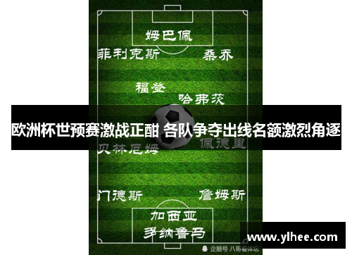 欧洲杯世预赛激战正酣 各队争夺出线名额激烈角逐