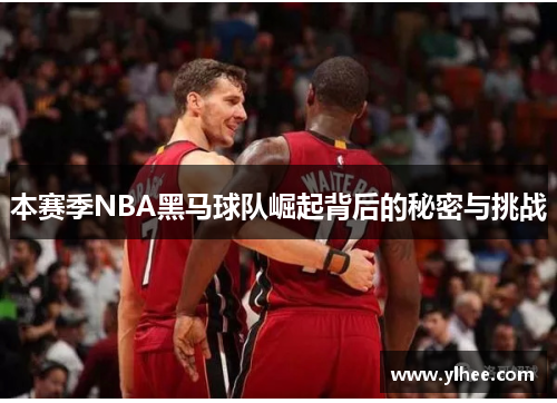 本赛季NBA黑马球队崛起背后的秘密与挑战