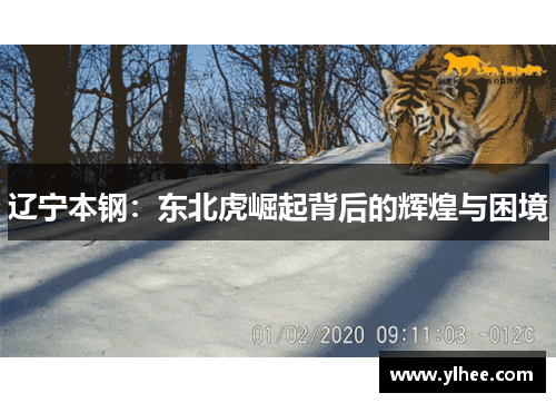 辽宁本钢：东北虎崛起背后的辉煌与困境