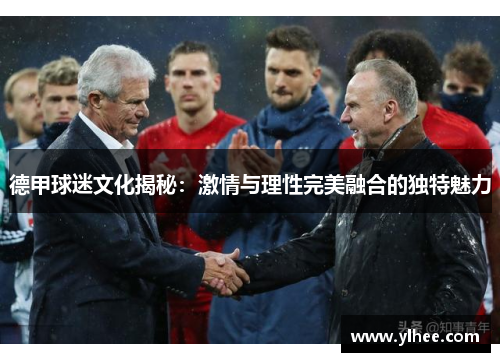 德甲球迷文化揭秘：激情与理性完美融合的独特魅力