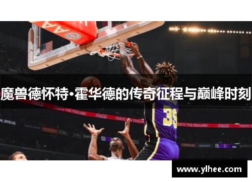 魔兽德怀特·霍华德的传奇征程与巅峰时刻